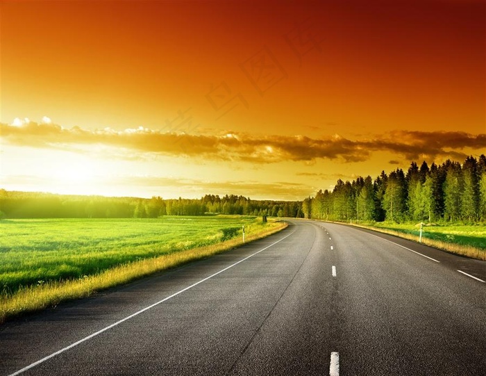 树林公路道路景色风景图片素材