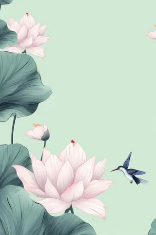 创意简约节气荷花背景