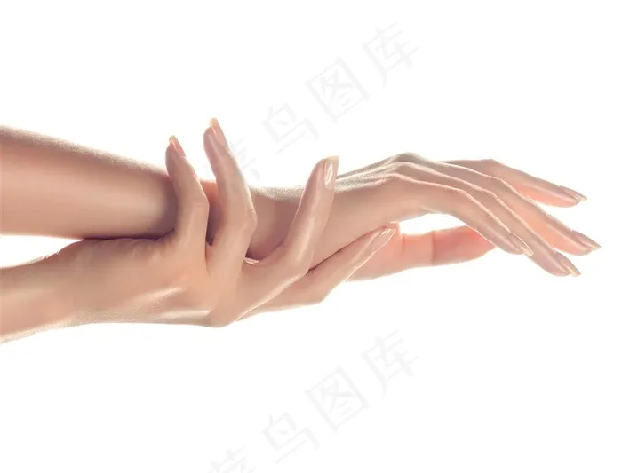 美丽的双手高清图片手势图片