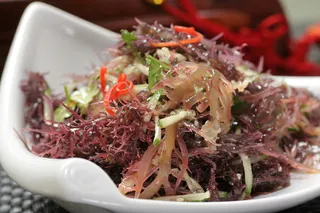 南极冰藻16元 (1)