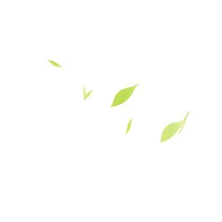 几片树叶飘在空中png免抠