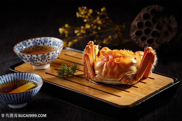 柔韧海鲜图片素材