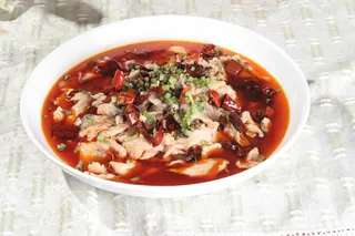 蜀水江湖鱼 26元