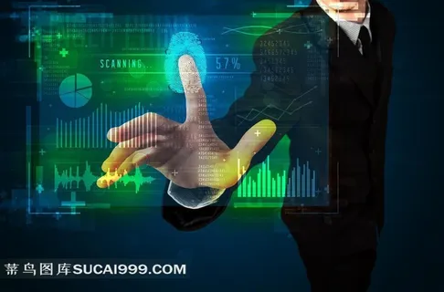 手指指纹识别系统 手指指纹识别系统