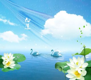 新中式中国风山水花鸟白莲天鹅背景图客厅卧室装饰画玄关画