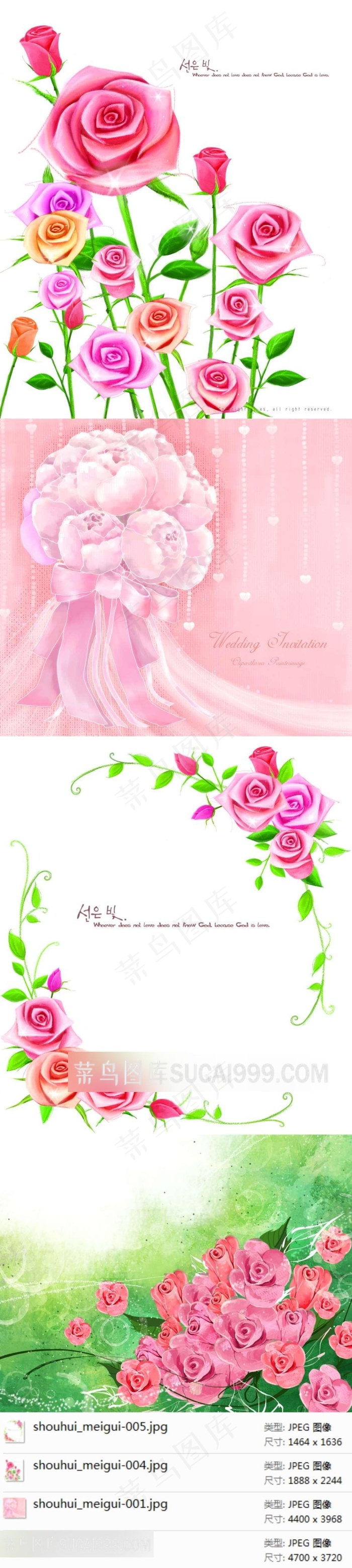 婚礼玫瑰花鲜花插画素材