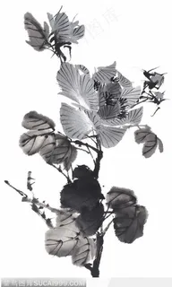 国画花卉植物-水墨树叶