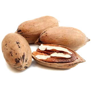 碧根果 (6)干果超市商品白底图免抠实物摄影png格式图片透明底