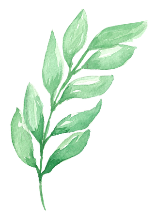 唯美森系手绘水彩花朵 免抠