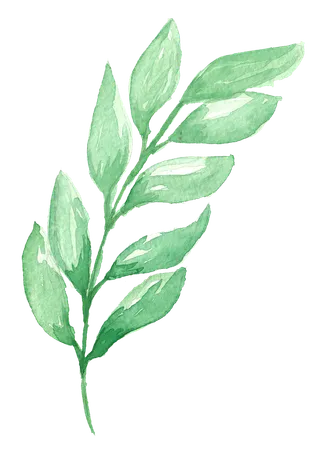 唯美森系手绘水彩花朵 免抠