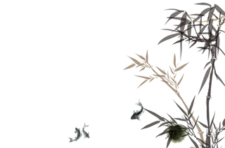 竹子水墨画中国风国画墨水书法竹子画