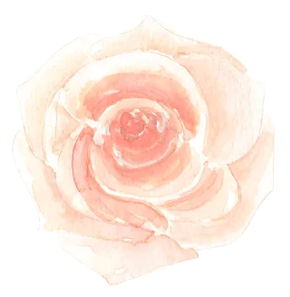 唯美森系手绘水彩花朵 免抠