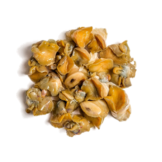 螺贝类带壳类(50)海鲜超市商品红酒白底图免抠实物摄影png格式图片透明底