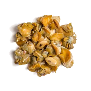 螺贝类带壳类(50)海鲜超市商品红酒白底图免抠实物摄影png格式图片透明底