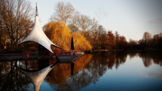 秋天秋日树湖面高清背景