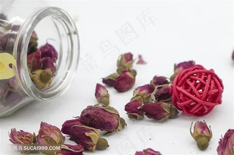 玫瑰花干静物图