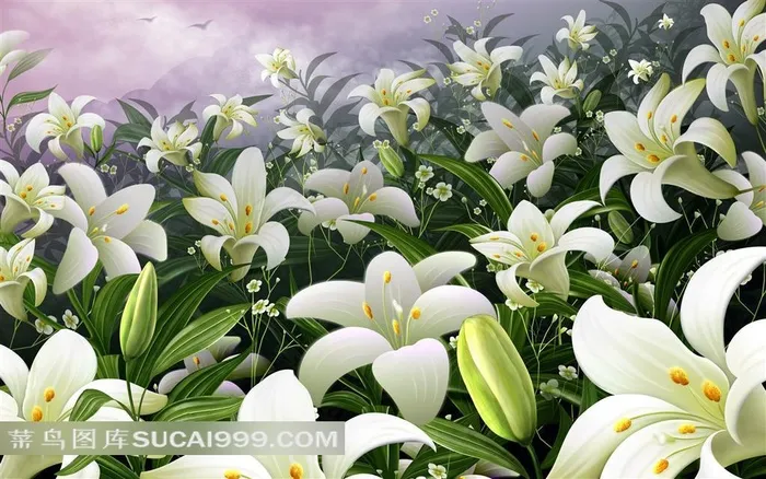 精美百合花壁纸