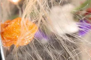 R01600盘丝山药 (2)