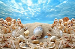 蓝色热带海滩岛屿上的沙子、贝壳、星星、大海和天空的舞台背景