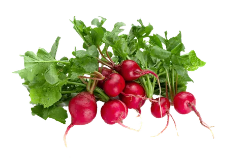 红萝卜 (5)超市商品白底图免抠实物摄影png格式图片透明底