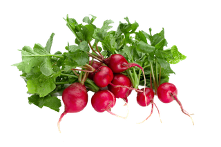 红萝卜 (5)超市商品白底图免抠实物摄影png格式图片透明底