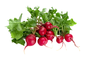 红萝卜 (5)超市商品白底图免抠实物摄影png格式图片透明底