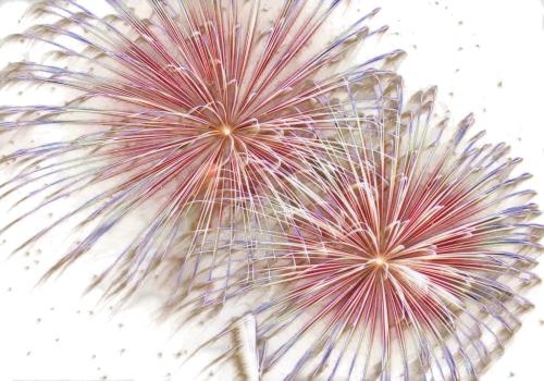 烟花 PNG免抠(500x350)