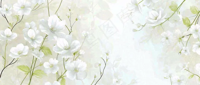 清新白色小花野花野草春天萌芽手绘，春分(1680x720)