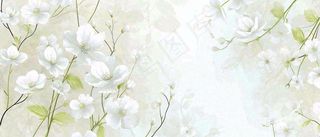 清新白色小花野花野草春天萌芽手绘，春分