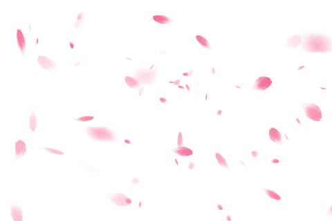 樱花浪漫花飘落瓣免扣