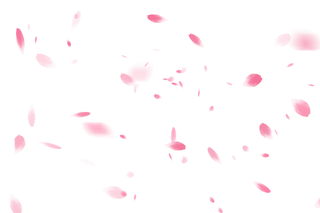 樱花浪漫花飘落瓣免扣