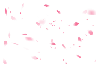 樱花浪漫花飘落瓣免扣