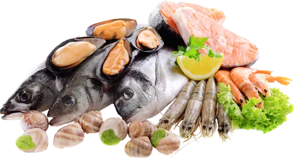 免扣海鲜食材 免扣海鲜食材