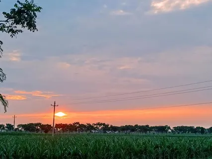 夏日傍晚天空田地摄影作品 夏日傍晚天空田地摄影作品