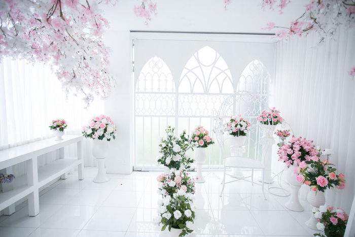 现代摄影结婚空间白色背景