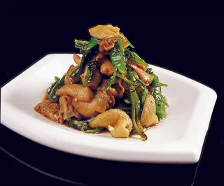 CXC04129烧椒蜗牛