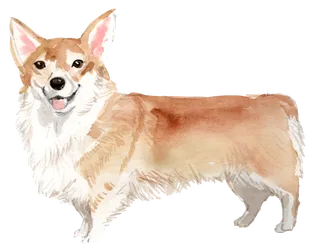 狗狗水彩画插画免扣素材可爱宠物狗