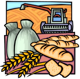 农业图像现代农业