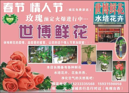 平面广告设计印刷品世博鲜花