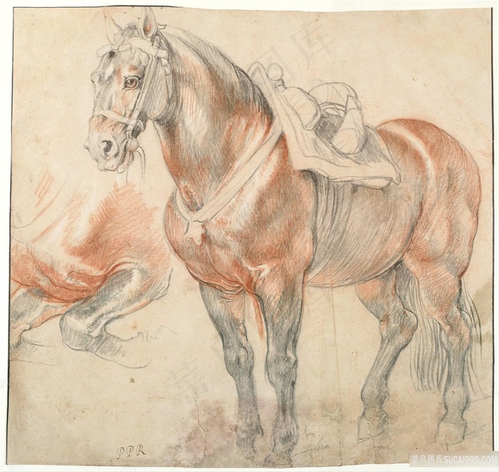 彼得·保罗·鲁本斯（1577-1640）— 鞍马插画