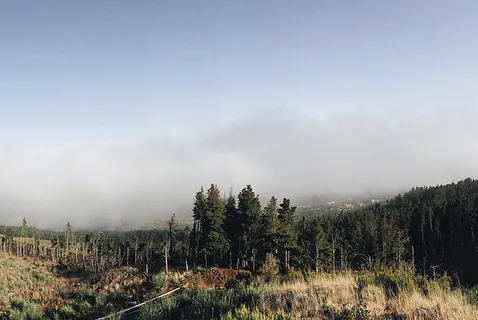 风景 天空 旅行美丽 (77) 风景 天空 旅行美丽 (77)