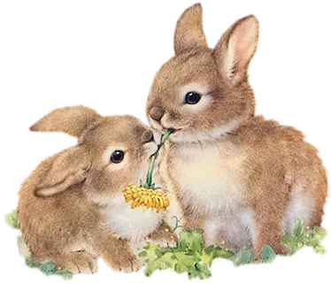 两只兔子卡通