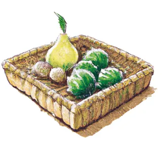 框子里的无花果手绘 框子里的无花果手绘