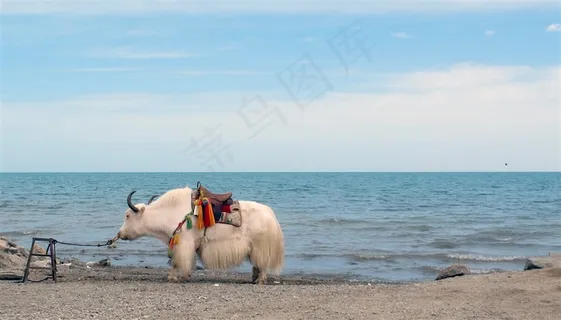 任凭你风吹浪打我心如止境