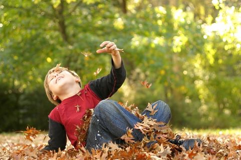 秋天户外玩耍的小男孩摄影高清图片