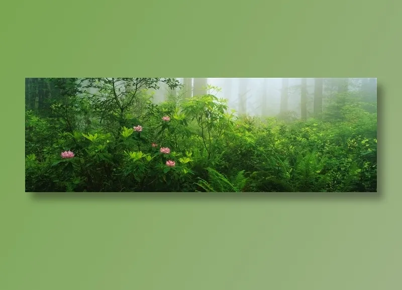 美丽的丛林花草风景