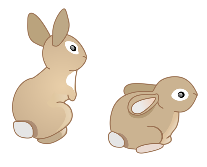 绘图兔子兔年