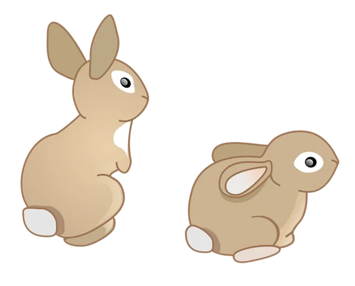 绘图兔子兔年