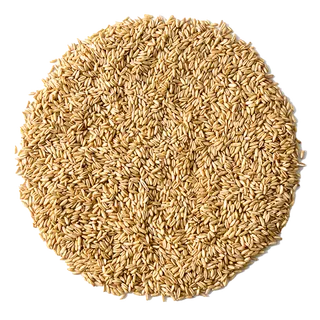 81燕麦米超市商品白底图免抠实物摄影png格式图片透明底