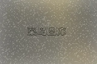 5-水雾玻璃素材